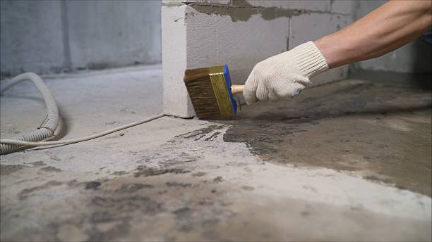 SJ Waterproofing Pros Emergency Waterproofing coverage map for Palmyra, MI and surrounding area